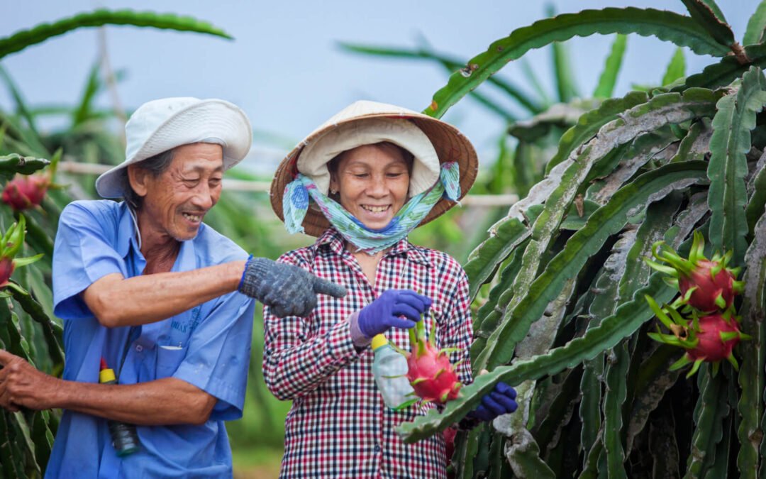 Post 3 : Lorem Ipsum Dummy Text