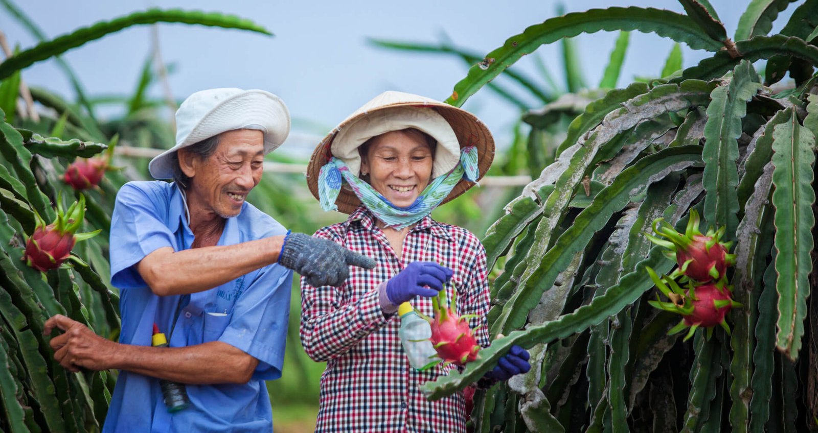natural-people-farmworker-farmer-adaptation-community-1608615-pxhere.com (1)